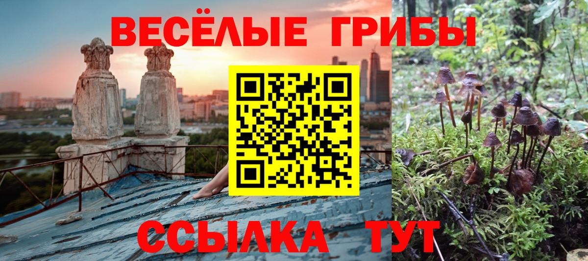 Галлюциногенные грибы Cubensis  Вход с VPN  Пугачёв 